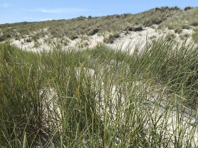 Holiday house 4 star holiday home in Skagen - Outdoor photo 4