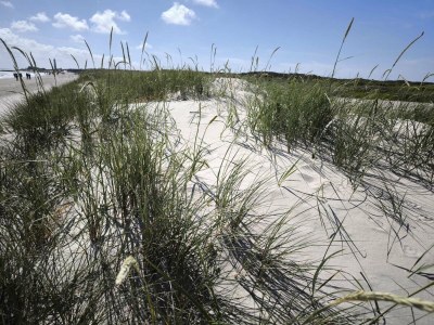 Holiday house 4 star holiday home in Skagen - Outdoor photo 15