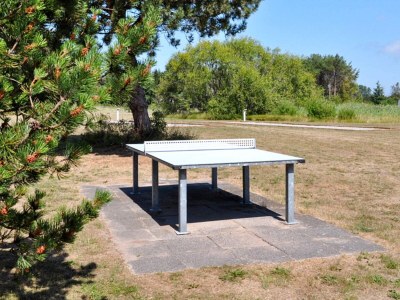 Holiday house 4 star holiday home in Skagen - Outdoor photo 19