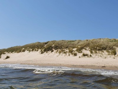 Holiday house 4 star holiday home in Skagen - Outdoor photo 23