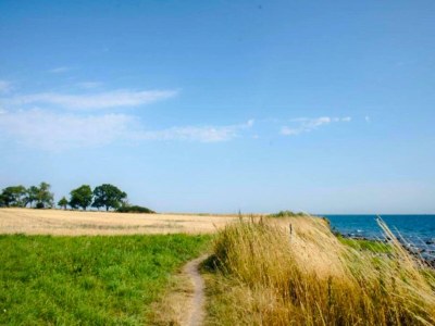 Holiday house Ferien auf Fehmarn im Blue Lagoon - Environment photo 38