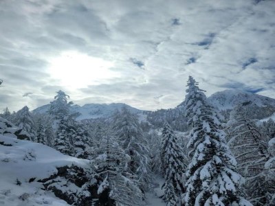 Holiday park Chalet in Isola nahe Skipisten - Environment photo 14