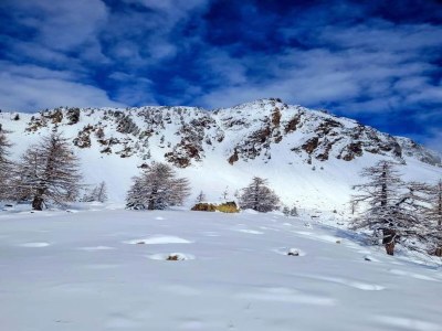 Holiday park Chalet in Isola nahe Skipisten - Environment photo 15