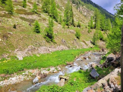 Holiday park Chalet in Isola nahe Skipisten - Environment photo 16