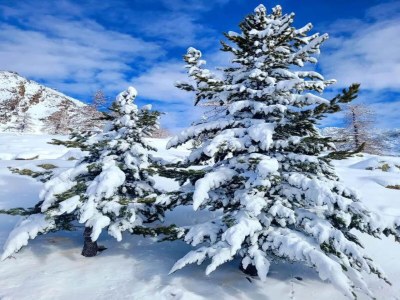 Holiday park Chalet in Isola nahe Skipisten - Environment photo 21