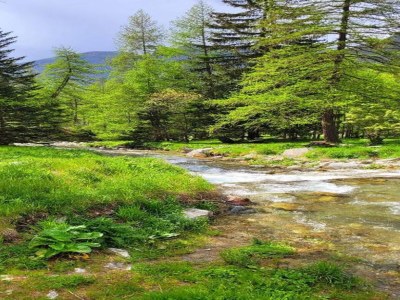 Holiday park Chalet in Isola nahe Skipisten - Environment photo 25