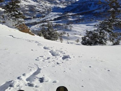 Holiday park Chalet in Isola nahe Skipisten - Environment photo 36