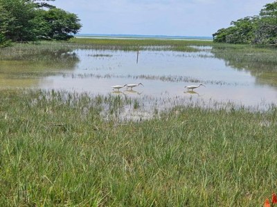 Holiday park Ruhige Alpenwohnung - Environment photo 19