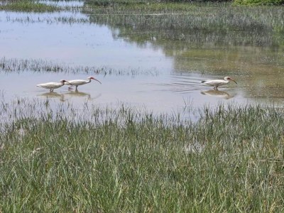 Holiday park Erwachsenenfreundliche Alpenwohnung - Environment photo 19