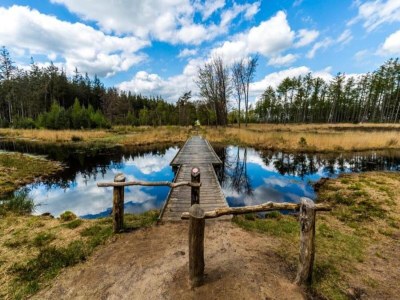 Holiday house Chalet in Friesland mit Terrasse - Environment photo 24
