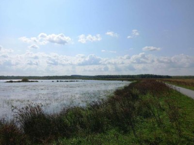 Holiday house Chalet in Friesland mit Terrasse - Environment photo 38