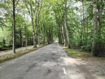 Holiday house Chalet in Friesland near Large Lakes - Environment photo 25