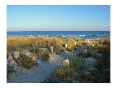 Holiday apartment Muschel - Environment photo 18