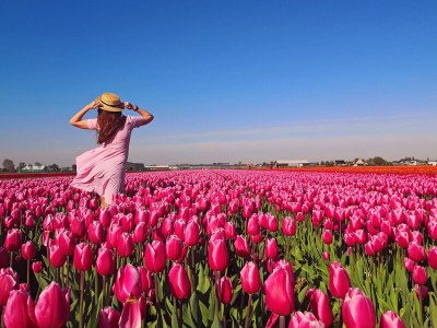 Chalet Duinpan Wasser 7 - Environment photo 20