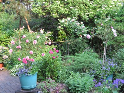 Holiday apartment 2 in the house Sonnenbichl - Outdoor photo 5