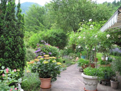 Holiday apartment 2 in the house Sonnenbichl - Outdoor photo 6