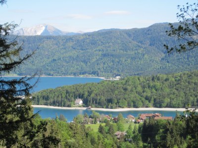 Holiday apartment 2 in the house Sonnenbichl - Environment photo 11