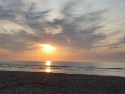 Holiday park Cozy Chalet at Holiday park Fort den Haak - Environment photo 18