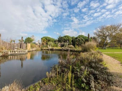 Holiday park Cozy Chalet at Holiday park Fort den Haak - Environment photo 19