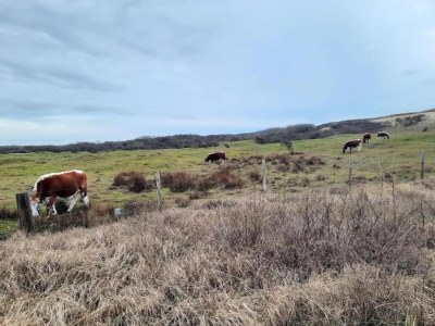 Holiday park Cozy Chalet at Holiday park Fort den Haak - Environment photo 26