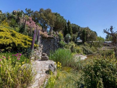 Holiday park Cozy Chalet at Holiday park Fort den Haak - Environment photo 29