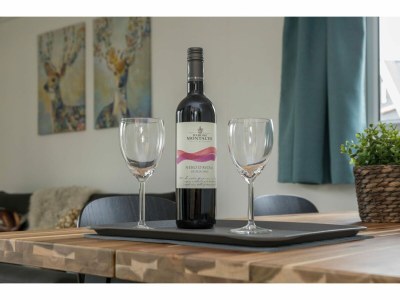 Holiday park Cozy Chalet at Holiday park Fort den Haak - Outdoor photo 37