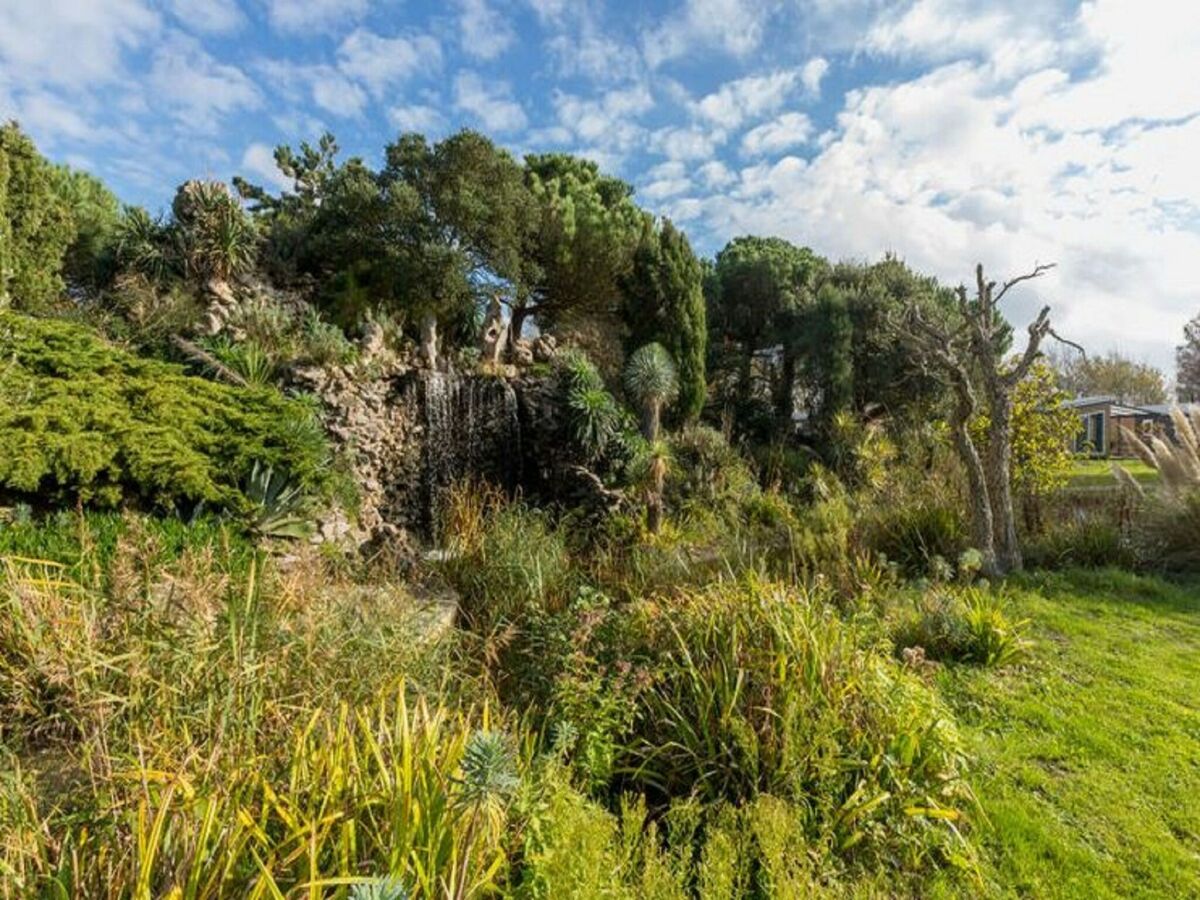 Holiday park Chalet in Vrouwenpolder near Banjaard Beach - Outdoor photo 2