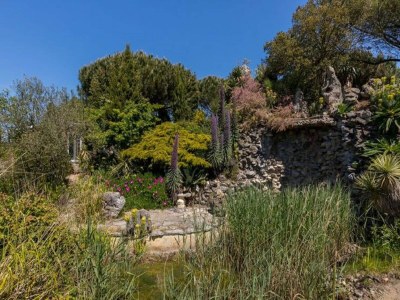 Holiday park Chalet in Vrouwenpolder near Banjaard Beach - Outdoor photo 4