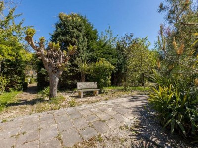 Holiday park Chalet in Vrouwenpolder near Banjaard Beach - Environment photo 17