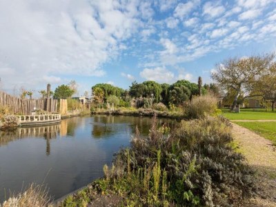 Holiday park Chalet in Vrouwenpolder near Banjaard Beach - Environment photo 18