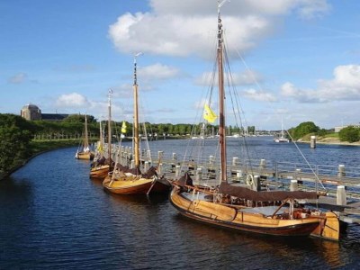 Holiday park Chalet in Vrouwenpolder near Banjaard Beach - Environment photo 23