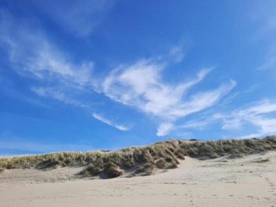 Holiday park Chalet in Vrouwenpolder near Banjaard Beach - Environment photo 29