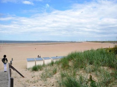 Holiday park Chalet in Vrouwenpolder near Banjaard Beach - Environment photo 30