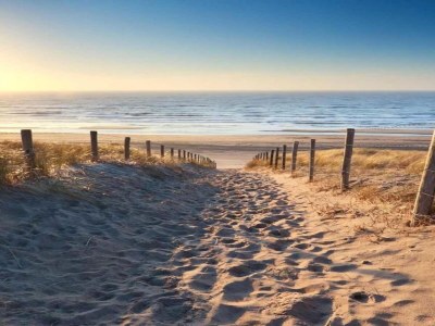 Holiday park Chalet in Vrouwenpolder near Banjaard Beach - Environment photo 31