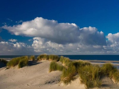 Holiday park Chalet in Vrouwenpolder near Banjaard Beach - Environment photo 33