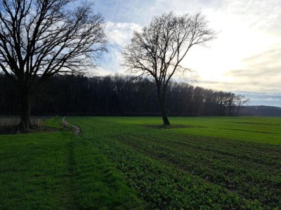 Holiday park Waterside Bliss in Lochem - Environment photo 13