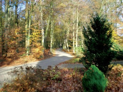 Holiday park Waterside Bliss in Lochem - Environment photo 14