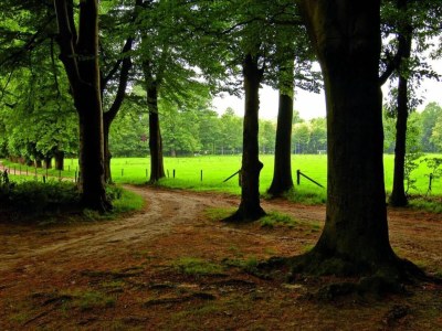 Holiday park Waterside Bliss in Lochem - Environment photo 15