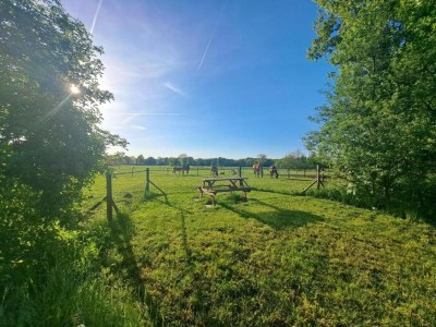 Holiday park Waterside Bliss in Lochem - Environment photo 21