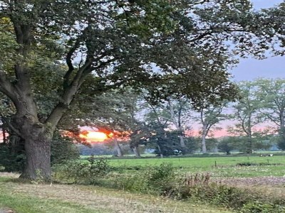 Holiday park Waterside Bliss in Lochem - Environment photo 22