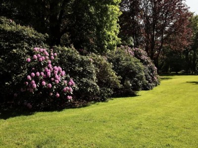 Holiday park Waterside Bliss in Lochem - Environment photo 24