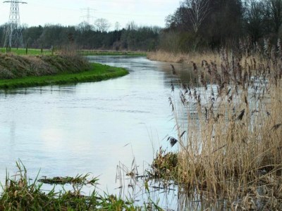 Holiday park Waterside Bliss in Lochem - Environment photo 26