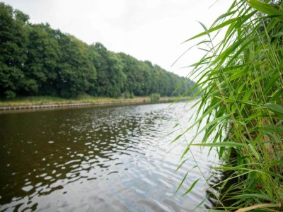 Holiday park Waterside Bliss in Lochem - Environment photo 27