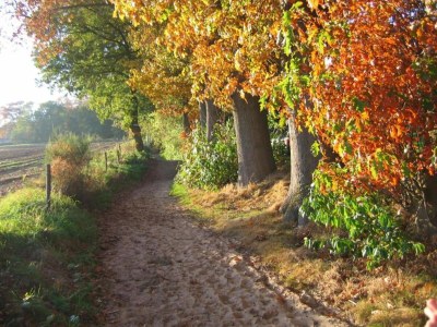 Holiday park Waterside Bliss in Lochem - Environment photo 29