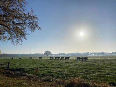 Holiday park Waterside Bliss in Lochem - Environment photo 30
