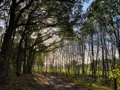 Holiday park Waterside Bliss in Lochem - Environment photo 32