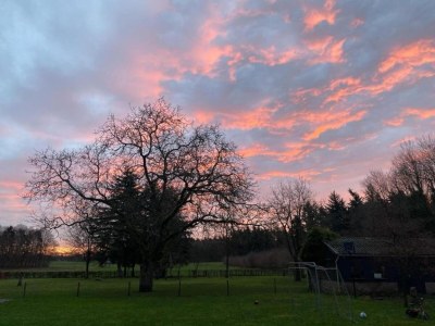 Holiday park Waterside Bliss in Lochem - Environment photo 34