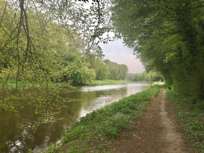 Holiday park Waterside Bliss in Lochem - Environment photo 36