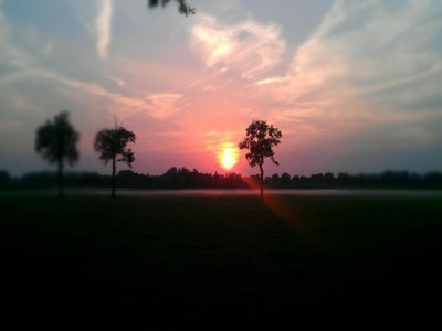 Holiday park Schicke Waldhütte mit Sauna - Environment photo 21