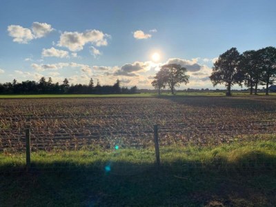 Holiday park Schicke Waldhütte mit Sauna - Environment photo 27